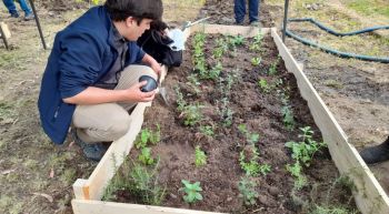 CIISETS-UBB se adjudicó proyecto que promoverá la sostenibilidad ambiental del campus La Castilla