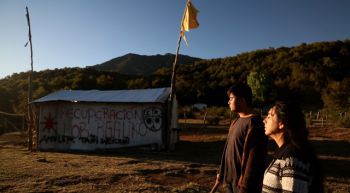 Plato de agua conmovió con historia de mapuche que abandona escolaridad para recuperar tierras